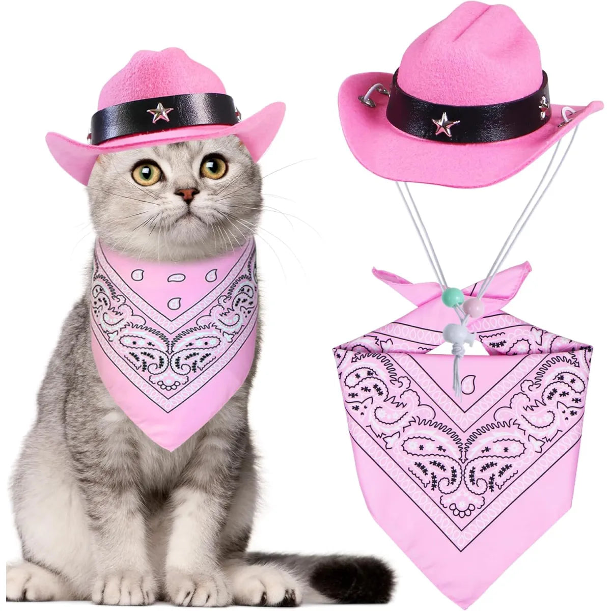Cat Cowboy Costume hat and bandana set