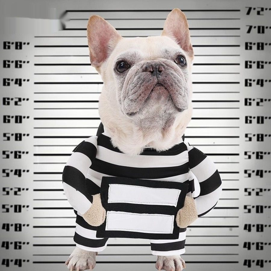 Prisoner Costume for dogs