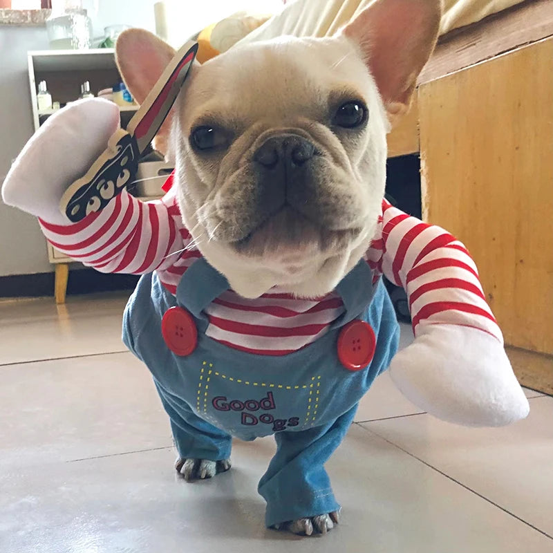 Small dog wearing a horror doll costume with dungarees and orange wig